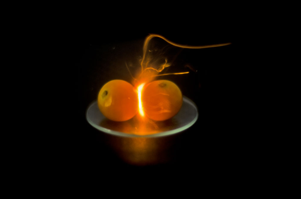 Plasma from a Physalis Dimer