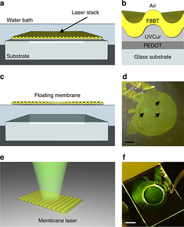 Process and results of organic lasers