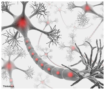 artist view of neuron