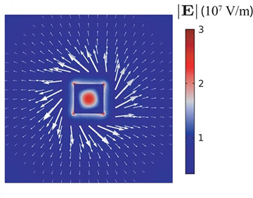 numerical simulation of electric field forces
