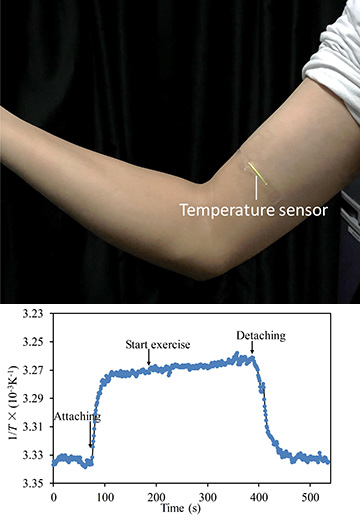 photo of fiber applied to arm, with graph of temperature response