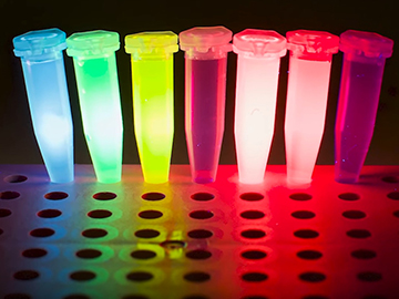 Long-Term Data Storage—In Glowing Dyes