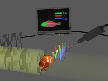 Ghost Imaging Boosts Chemical Mapping