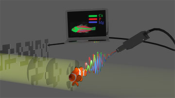 Computational ghost imaging and X-ray fluorescence measurement
