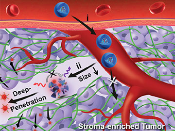 Nanoparticles Illuminate Pancreatic Cancer