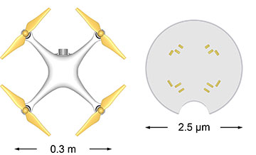 Macroscopic quadcopter