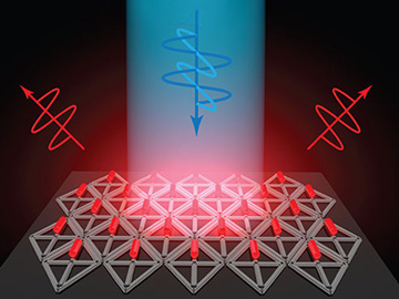 Creating Quantum Rod Arrays with DNA Origami