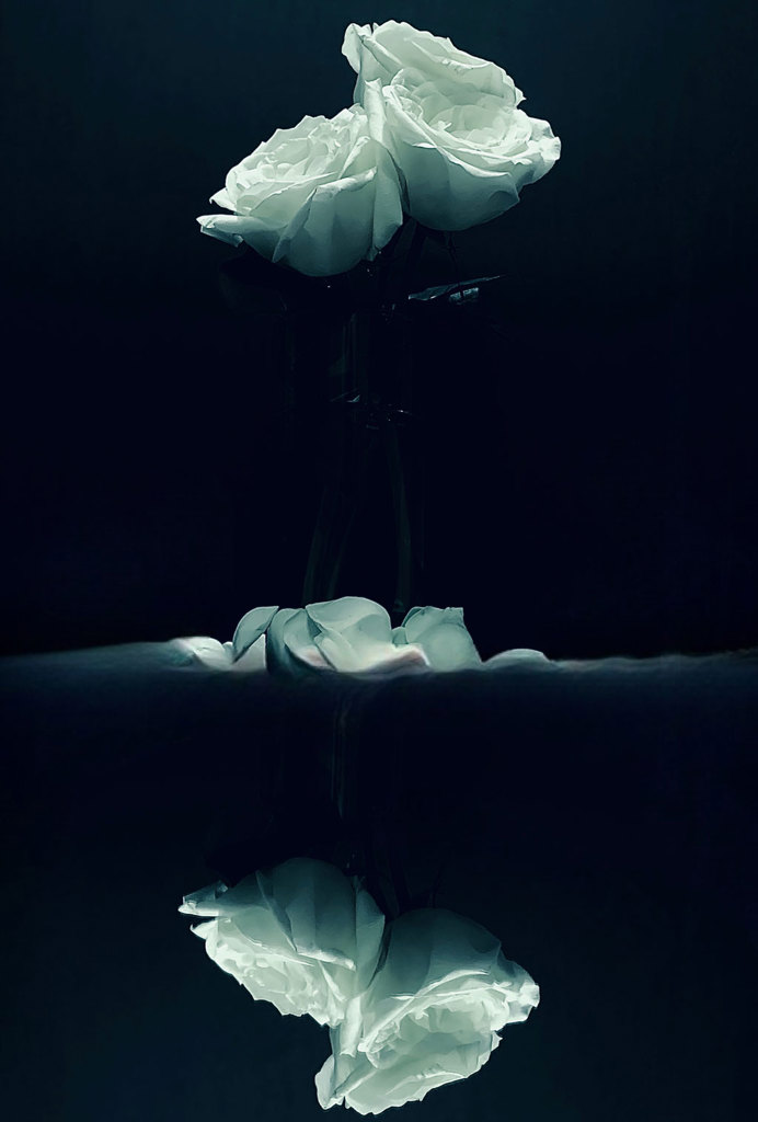 Reflected Roses