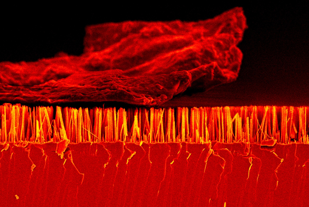 Dust on a silicon substrate 