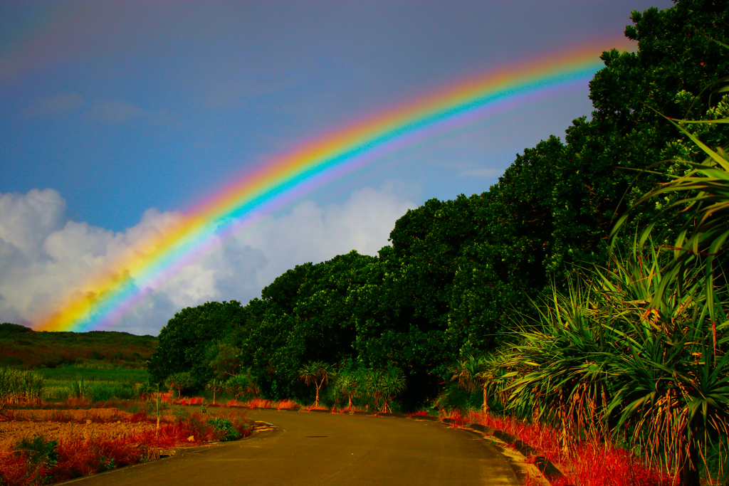 Okinawan Rainbow