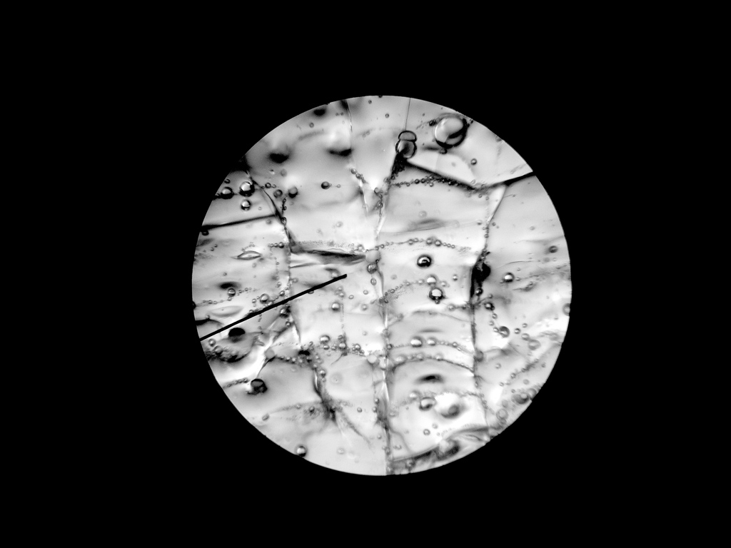 Glass (Microscope Slide)